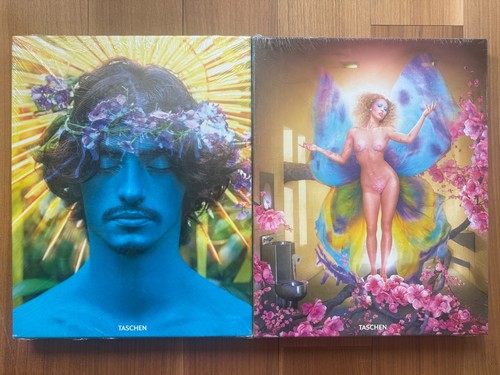 David lachapelle lost found - david,