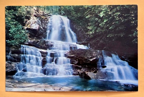 Vintage postcard laurel - vintage,
