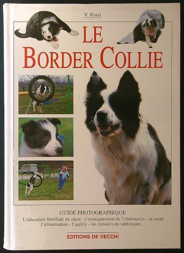 Border collie rossi valeria - le,