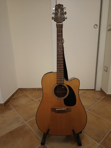 Takamine series eg320c - g,