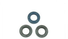 SERIE PARAOLI MOTORE GARELLI TEAM 50 MATIC - TEAM 50 BIMATIC