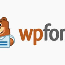 ⭐ WPForms Pro WordPress