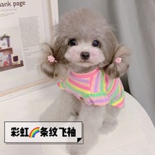 Vestito costume per Cani