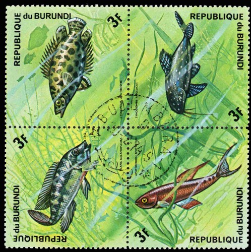 Burundi 451 pesci - pesci, africani