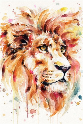 617730 splendido poster stampa - poster,