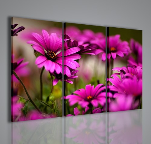 Quadri moderni violet - violet, flower