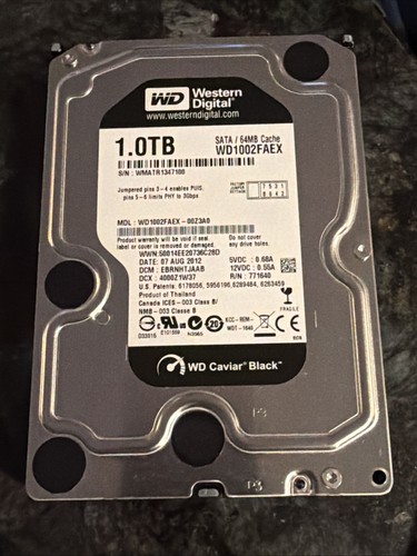 Western digital caviar black - digital,