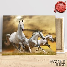 QUADRO HORSE CAVALLI BIANCHi