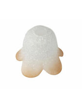 VETRO COPPA RICAMBIO