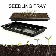 Vassoio Avviamento Piantine 2pz Extra Forte Semi Germinazione Pianta Fiori Grow Box 