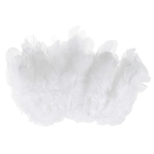 Piume per artigianato 600pz - piume,