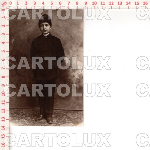D8339 torino 1928 - d8339, studio