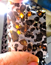 Sericho pallasite - 28,