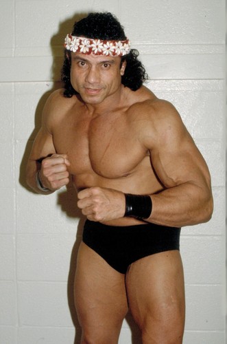 Wrestling superstars jimmy - wrestling,