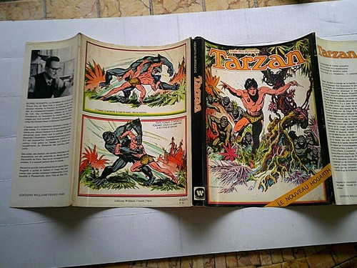 Rice burrougs tarzan the - e,