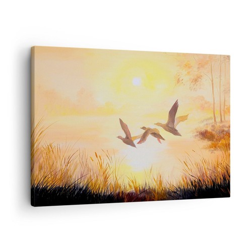 Quadro tela 70x50cm uccello - 70x50cm,