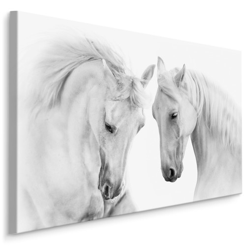 Quadri tela canvas xxl - quadri,