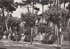MARINA DI MASSA - RONCHI