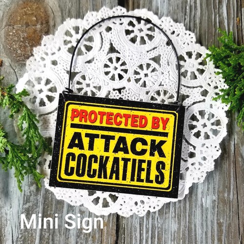 Attack cockatiels ornamento - cockatiels, in