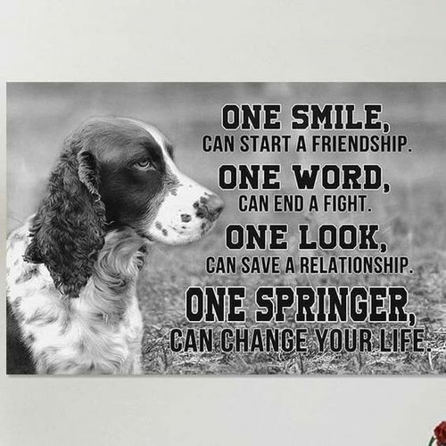 Springer spaniel magnete - springer,