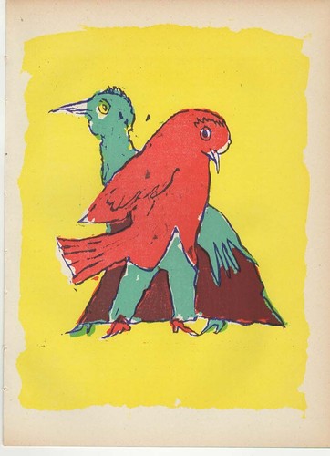 Mino maccari il pappagallo - il,
