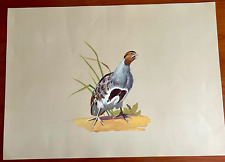 ROBERTO LEMMI - STAMPA