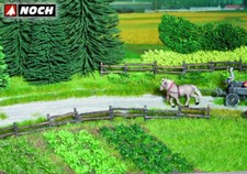 Cespugli erba piante di - cespugli,