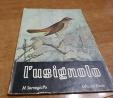 Mario Sernagiotto L'USIGNOLO