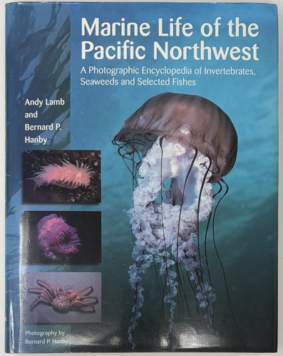 Marine life the pacific - marine, of