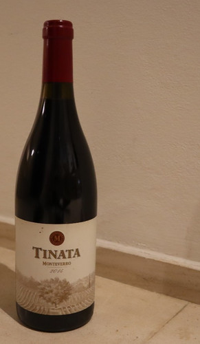 Bottiglia vino rosso tinata - bottiglia,