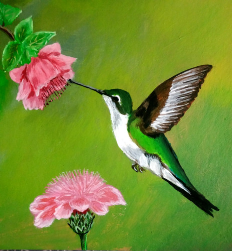Calibri uccellino natura fiori