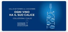 90 BOLLINI ADESIVI RACCOLTA ESSELUNGA 2025 CALICI RIEDEL