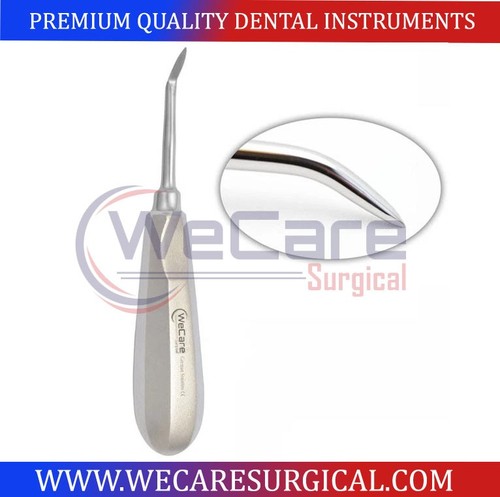 Dentale cogswell radice - b,