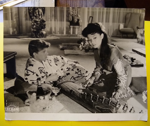 Yoko tani nello - nello, struzzo