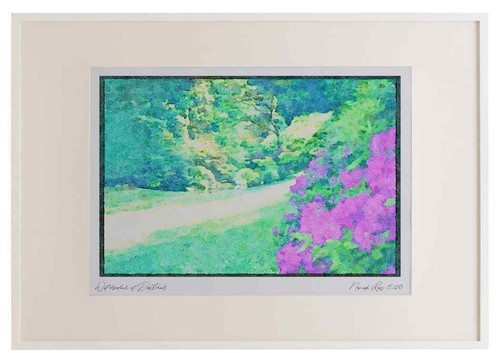 Italia 224095 giardini - 224095,