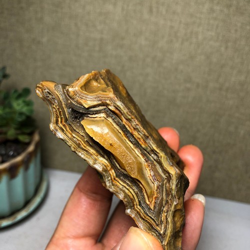 Bonsai naturale 128g suiseki - bonsai,