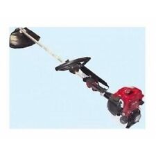 GREEN CAT DECESPUGLIATORE