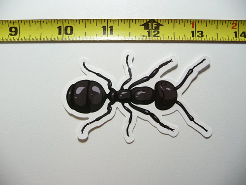 Ant piccolo adesivo - ant,