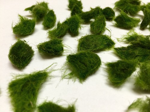 Marimo moss pezzi - marimo, 20