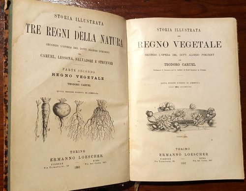 18598-BOTANICA,STORIA