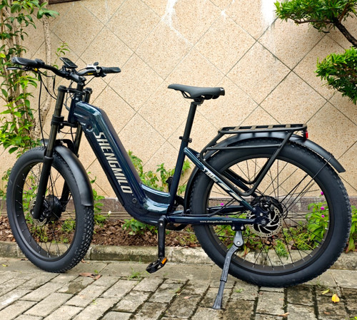 Bicicletta elettrica donna