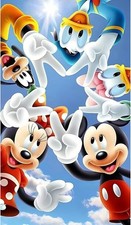 Diamond Painting Disney 30x50cm Ricamo Diamante Mosaico Quadro Fai da Te