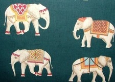Jaipur Indiano Elefante