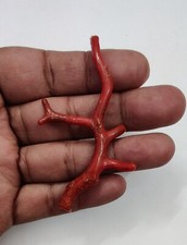 Ramo corallo rosso - ramo,