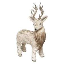 Santa Claus Reindeer Christmas