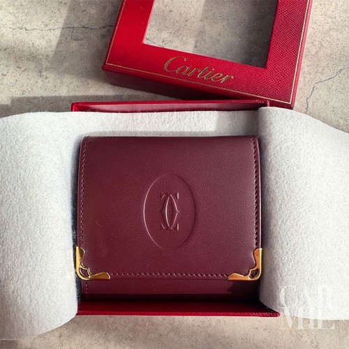 Must cartier custodia - de,
