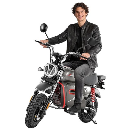 Nuovo iscooter pollici - 15,
