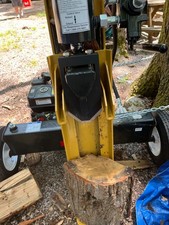 Attacco spaccalegna Forest