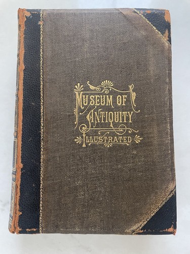 Museum antiquity 1882 - museum, of