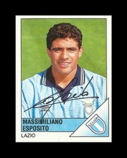 Figurine Calciatori Panini